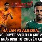 Ảnh bìa nhận định trận đấu giữa Hà Lan và Algeria trước thềm World Cup 2026 trên kênh trực tiếp bóng đá Xoilac TV, với hình ảnh Cody Gakpo và Riyad Mahrez.