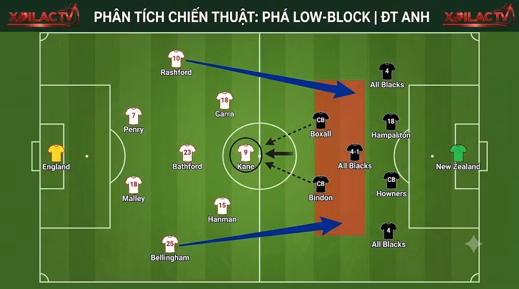 Phân tích chiến thuật 4-2-3-1 của Thomas Tuchel: Harry Kane lùi sâu kéo giãn hàng thủ Low-block của New Zealand.